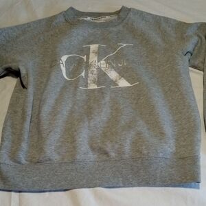Calvin Klein Gray Logo Sweatshirt